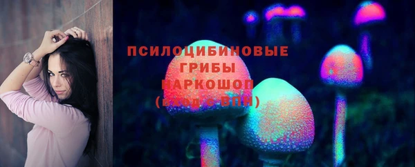 соль ск Алексин