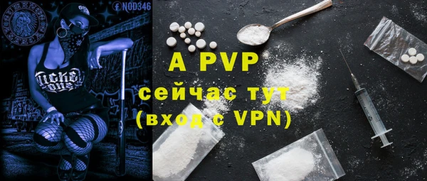 соль ск Алексин