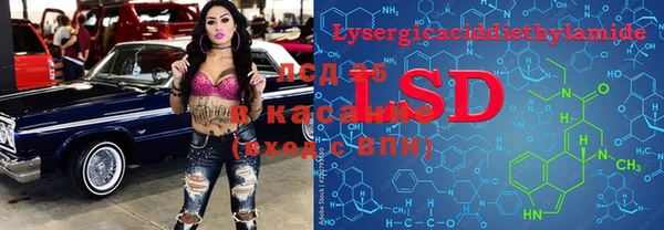 бошки Алзамай