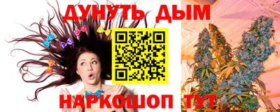 амф Майкоп