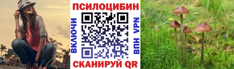 Псилоцибиновые грибы MAGIC MUSHROOMS  цена наркотик  Березники 