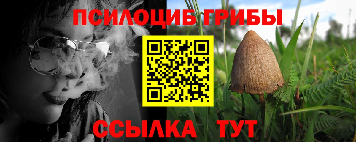 Галлюциногенные грибы Magic Shrooms  Вход с VPN  Галлюциногенные грибы Cubensis  Березники 